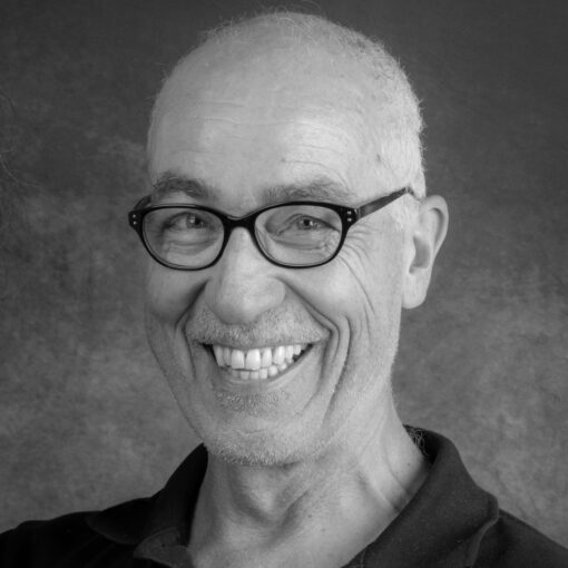 Human Design Professional - David Peters - Human Design Austria